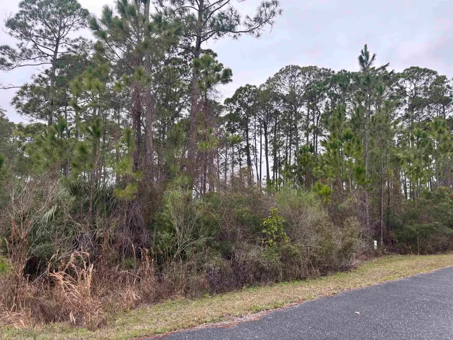 Lot 42 Wilderness Way, Panacea, FL 32346 - #2