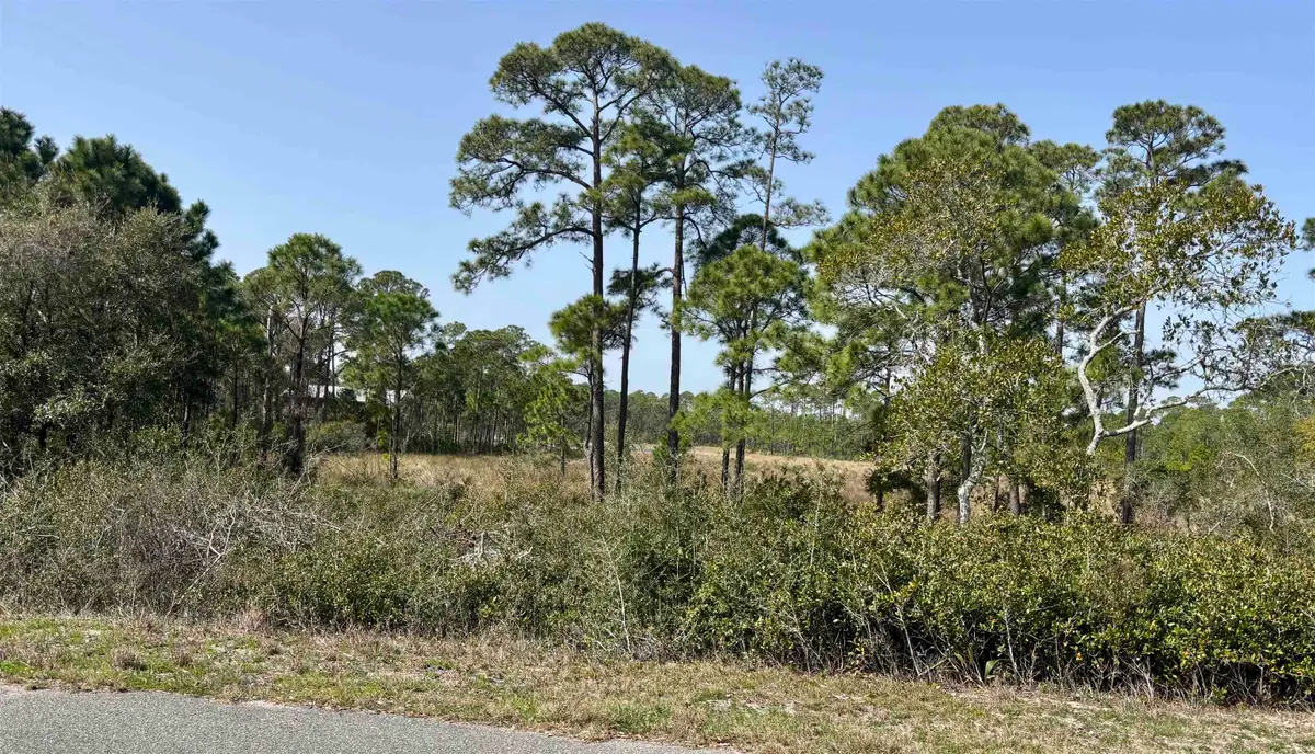 643 & 647 Bald Point Road, Alligator Point, FL 32346 - #1
