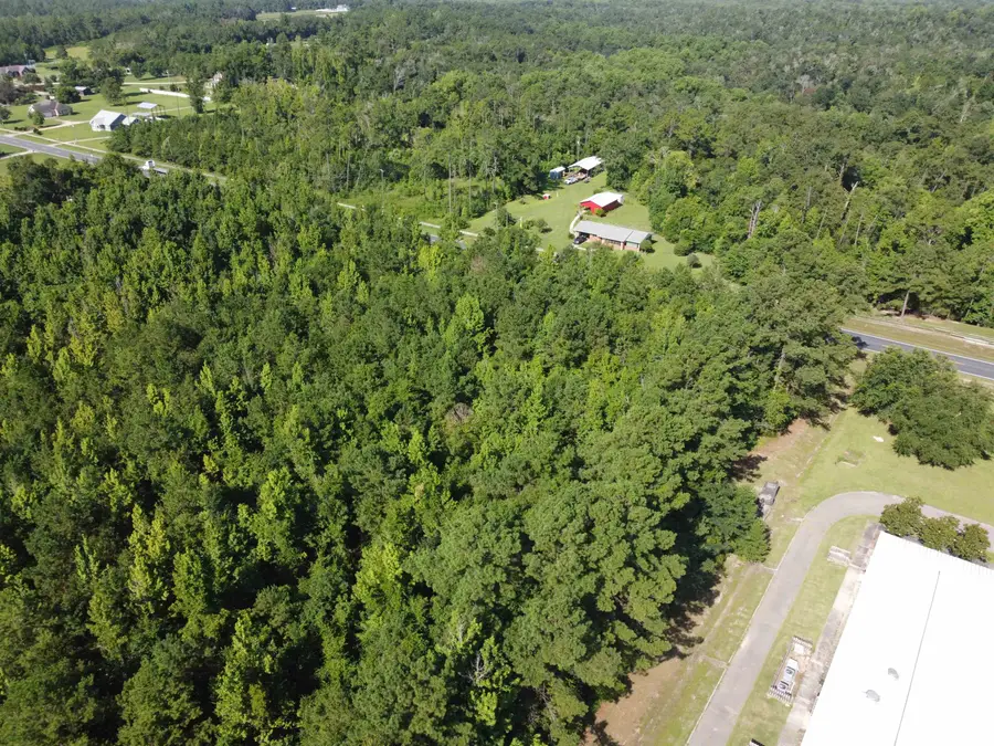 XXXXX NW County Road 12, Bristol, FL 32321 - #3