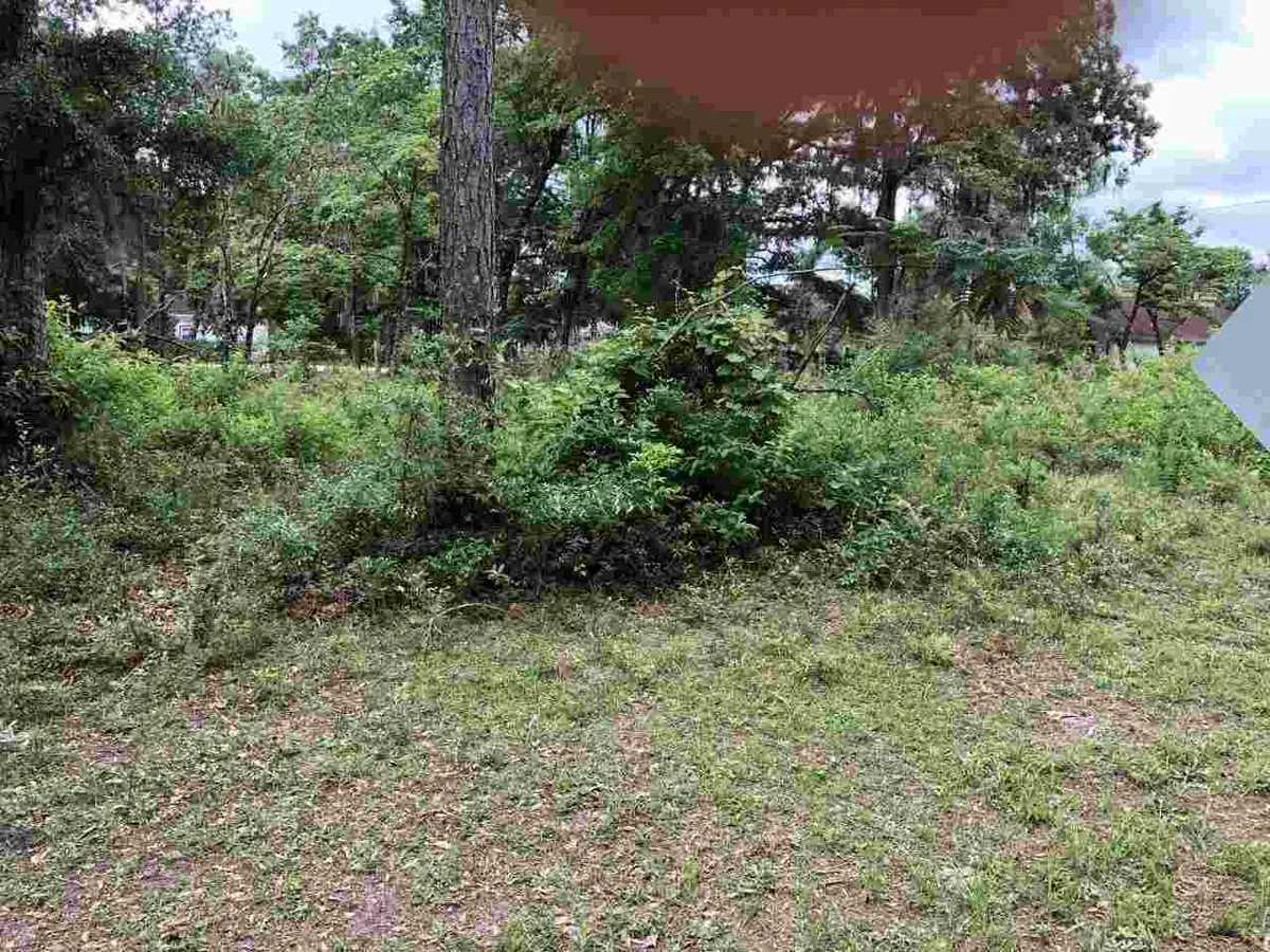 xx Hickory Avenue #4, Crawfordville, FL 32327 - #1