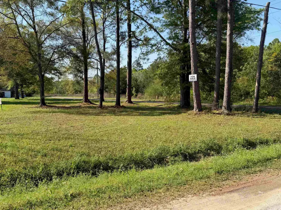 000 Beech Avenue, Gretna, FL 32332 - #2