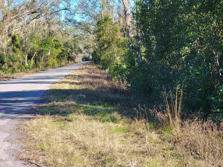 00 Pharo Morgan Road, Perry, FL 32347 - #2