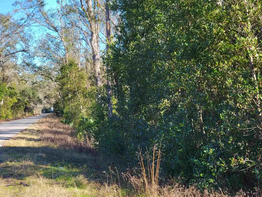 00 Pharo Morgan Road, Perry, FL 32347 - #3