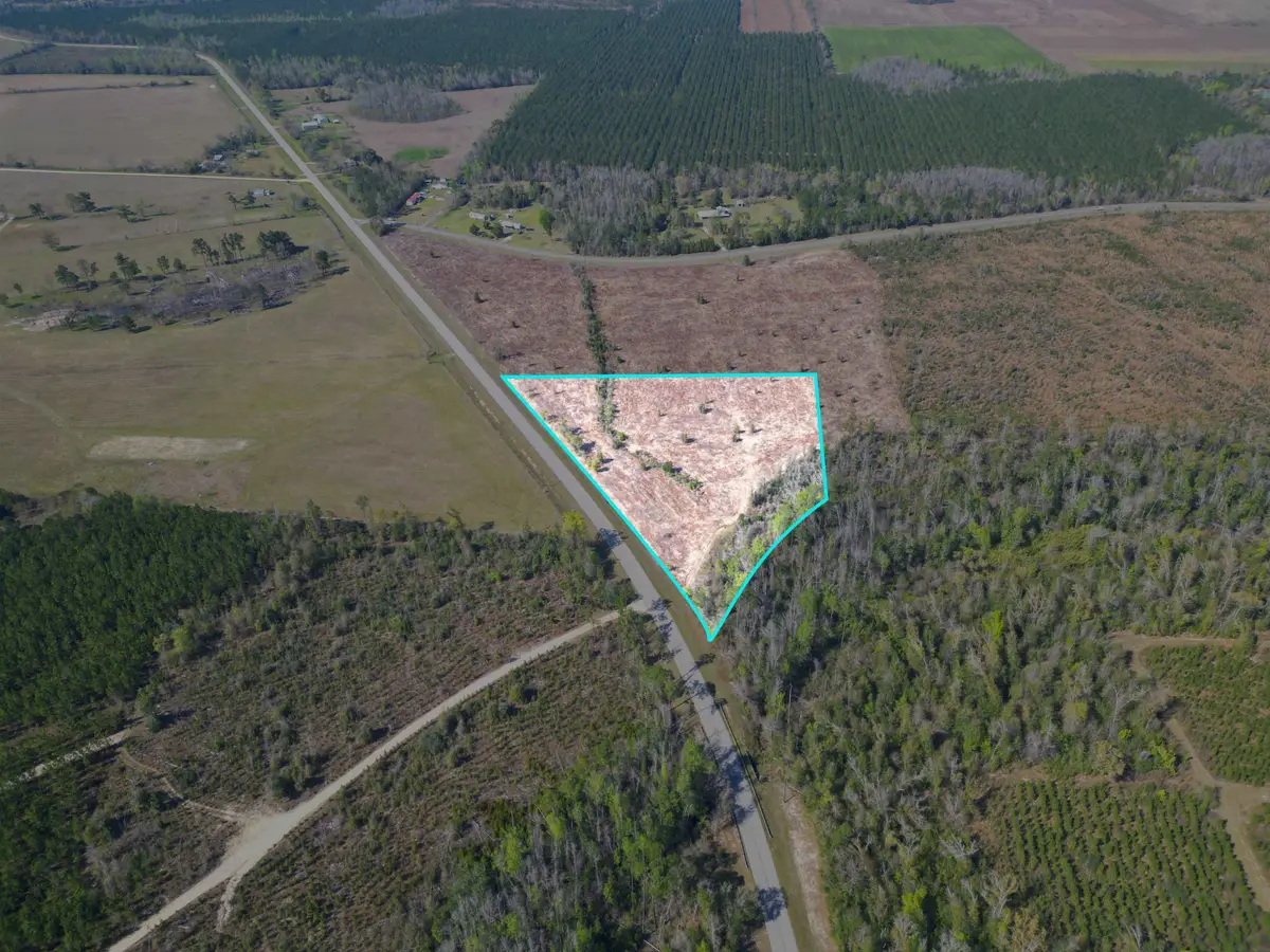 TBD SW Lot #3, County Road 275, Blountstown, FL 32424 - #1