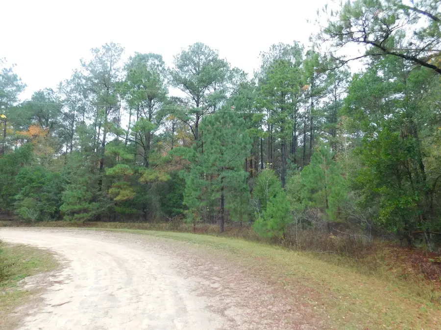 XXX Orchard Road, Quincy, FL 32351 - #2