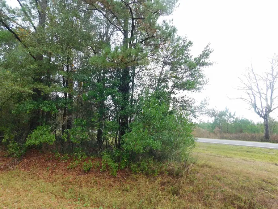 XXX Orchard Road, Quincy, FL 32351 - #3