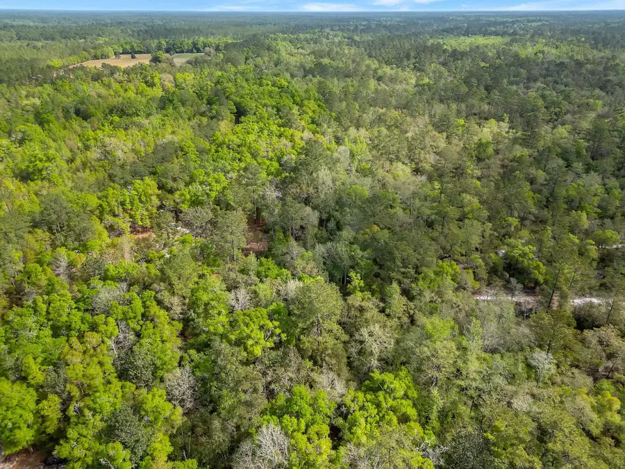 xxx Clay Revell Road, Sopchoppy, FL 32358 - #3