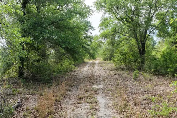 Vacant NE Cedar Trail, Pinetta, FL 32331