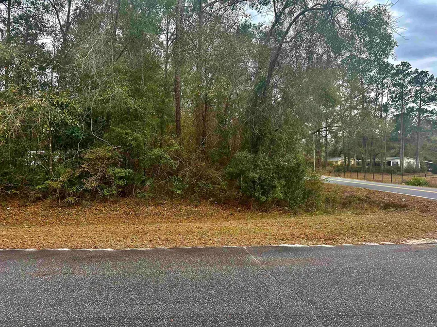 xx Luther Hall Road, Tallahassee, FL 32310 - #3