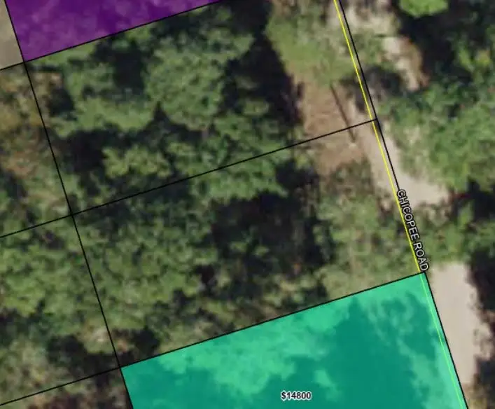 Chicopee Road, Crawfordville, FL 32327 - #3