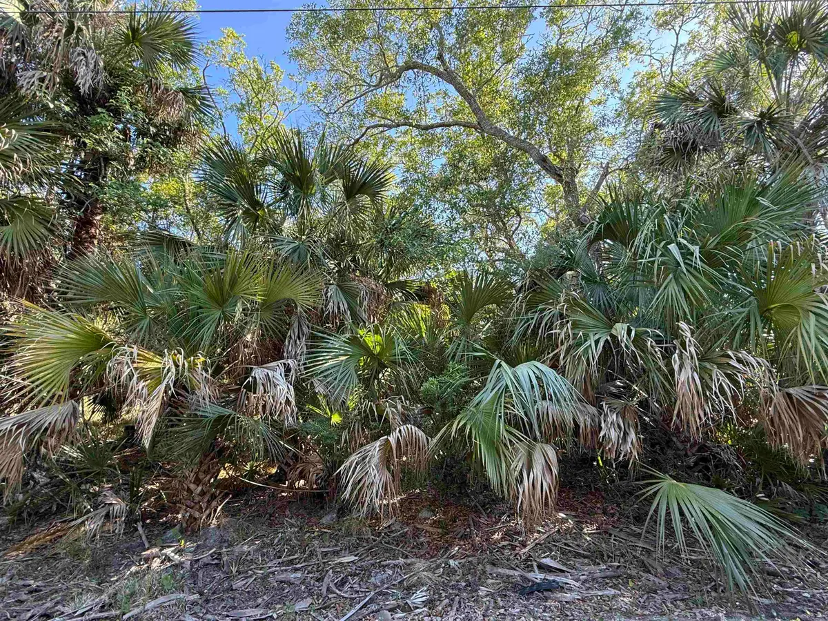 Lot 20 Blue Dolphin Drive, Crawfordville, FL 32327 - #1