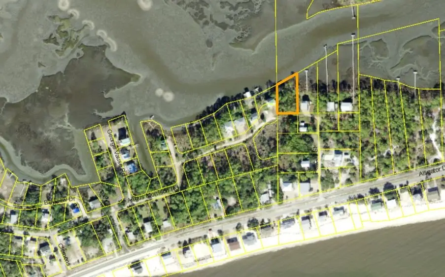 Pelican Street, Alligator Point, FL 32346 - #1