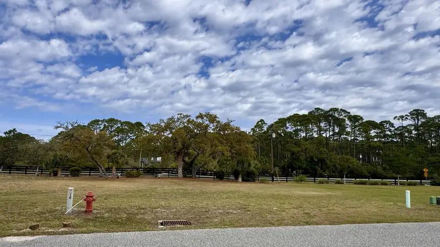 Endeavour Drive, Panacea, FL 32346 - #2