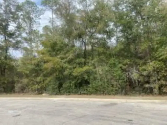 xx Crawfordville Highway, Crawfordville, FL 32327 - #2