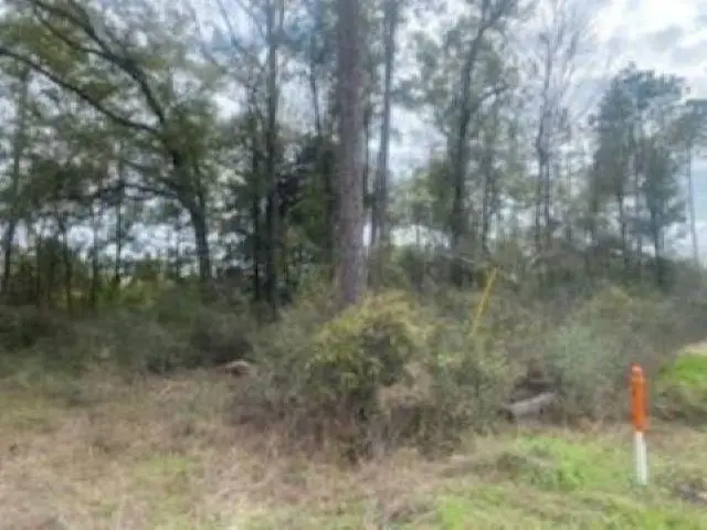 xx Crawfordville Highway, Crawfordville, FL 32327 - #3