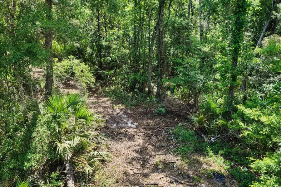 0 SW 361 Highway, Jena, FL 32359 - #2