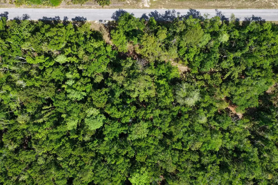 0 SW 361 Highway, Jena, FL 32359 - #3