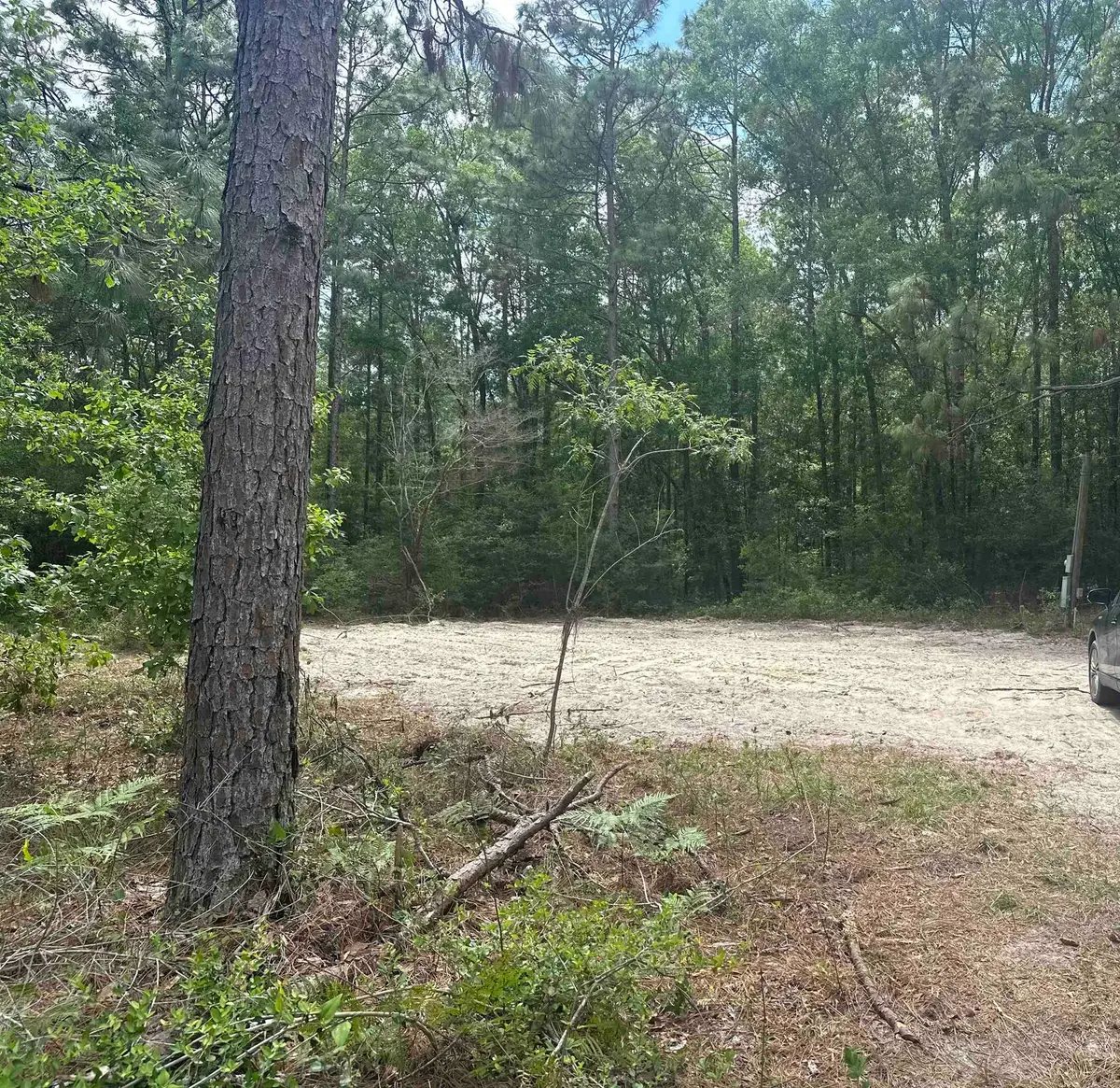 8024 Meridale Drive, Southeast Leon, FL 32305 - #1