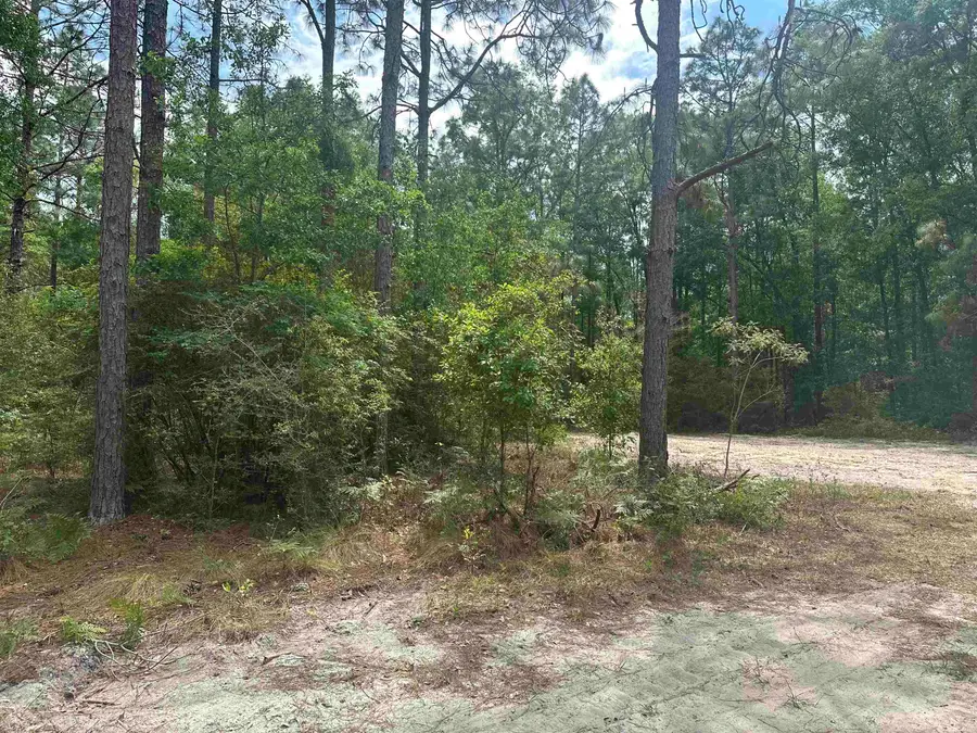 8024 Meridale Drive, Southeast Leon, FL 32305 - #3