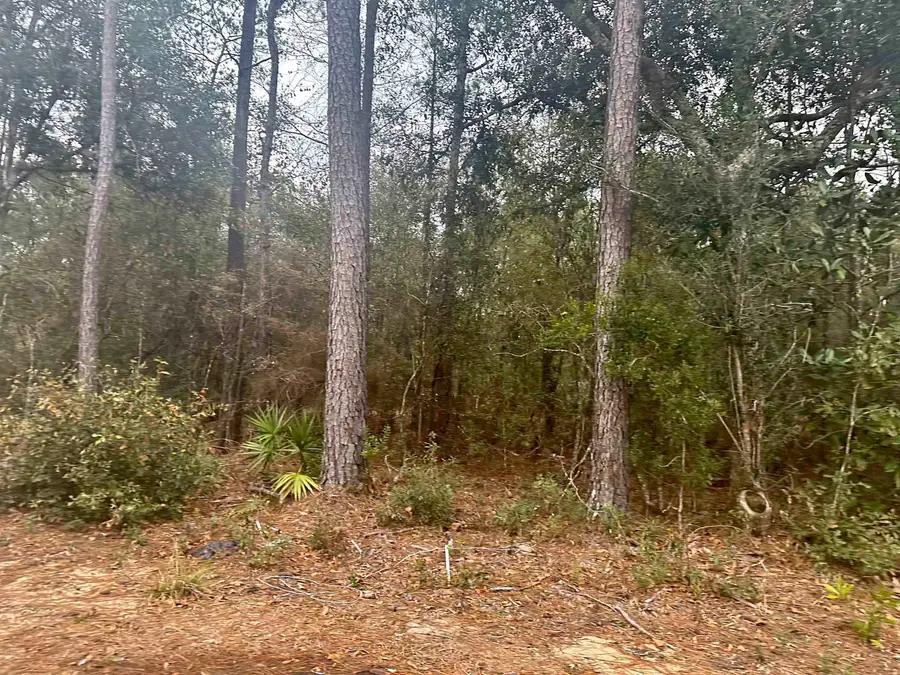 0 Blountstown Highway, Tallahassee, FL 32310 - #3