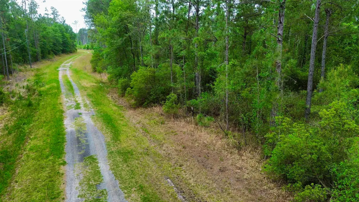 Lot 84 SW Oregon Trail, Greenville, FL 32331 - #1