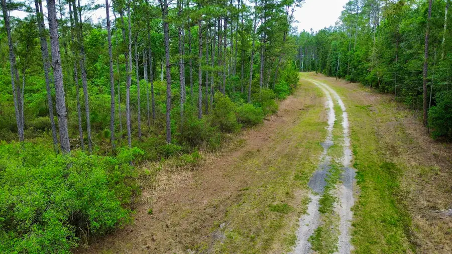 Lot 84 SW Oregon Trail, Greenville, FL 32331 - #2