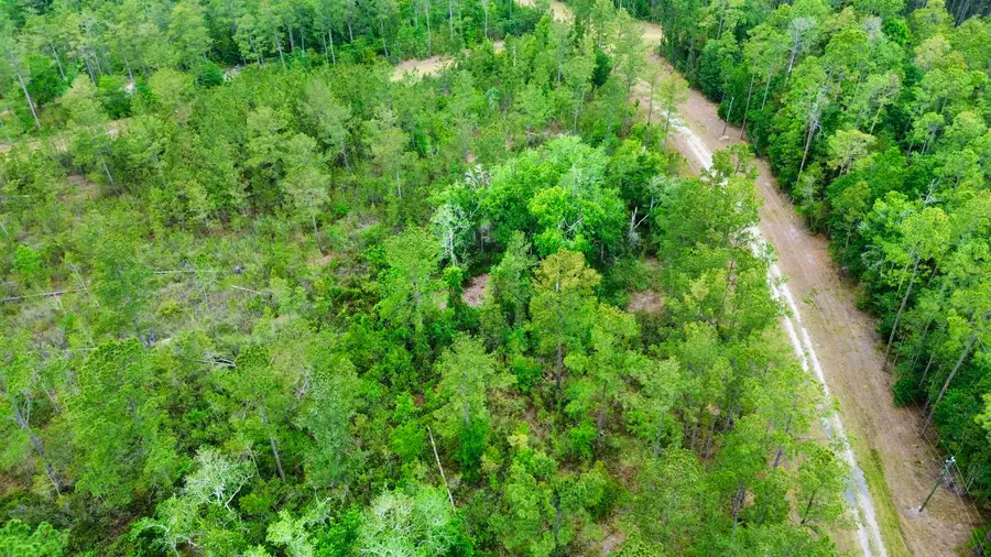 Lot 84 SW Oregon Trail, Greenville, FL 32331 - #3