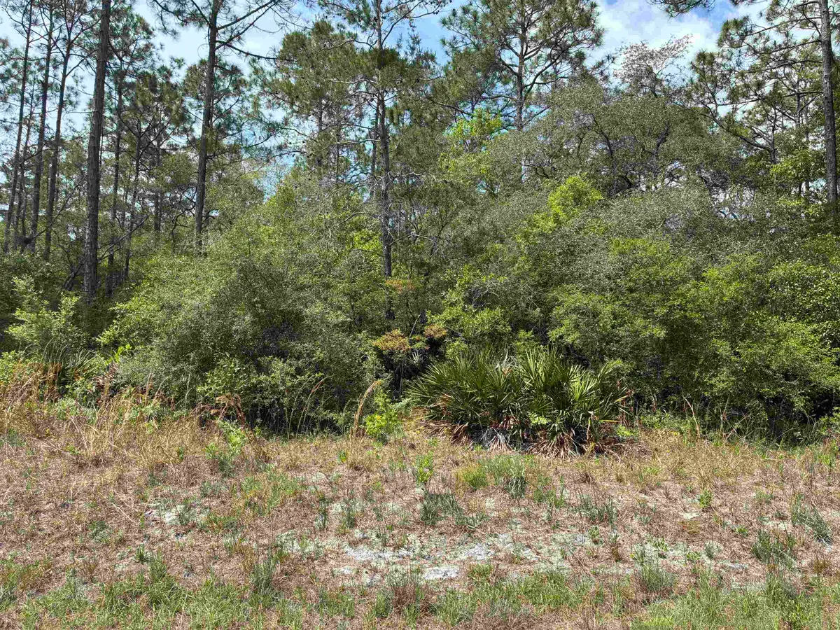 Lot 50 Whiteford Way Way, Panacea, FL 32346 - #1