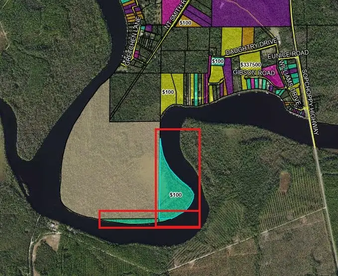 XXXX Ochlockonee River, Sopchoppy, FL 32358 - #2