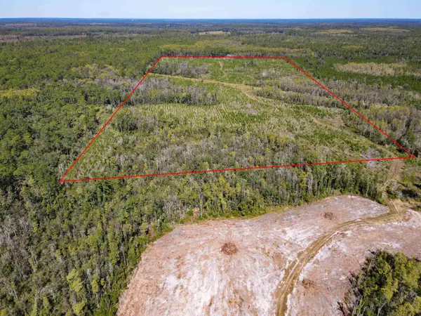 000 SW Mt.gilead Road, Lamont, FL 32331