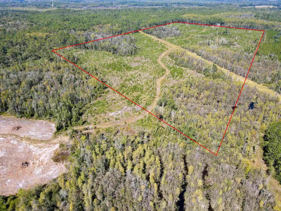 000 SW Mt.gilead Road, Lamont, FL 32331 - #2