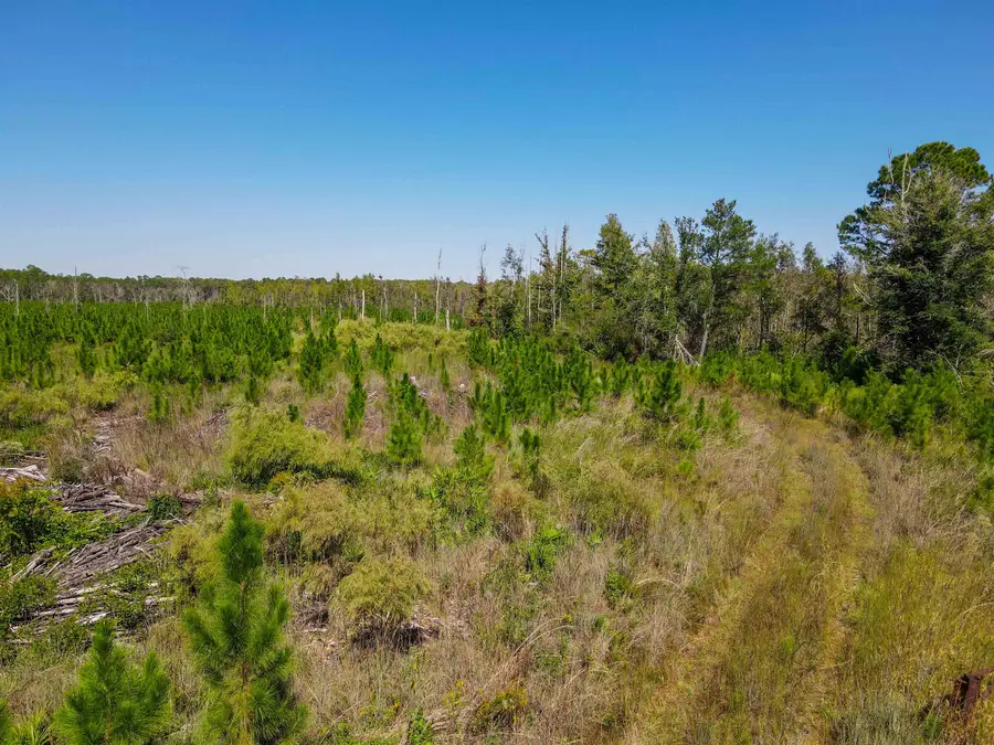 000 SW Mt.gilead Road, Lamont, FL 32331 - #3