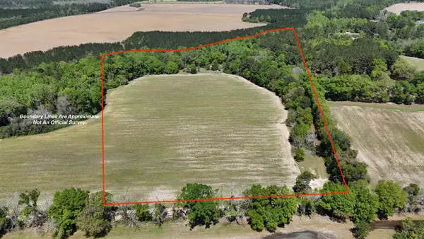 1975 Rook Road, Other Georgia, GA 31773