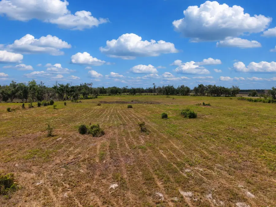 TBD S Cr 53, Lee, FL 32059 - #2