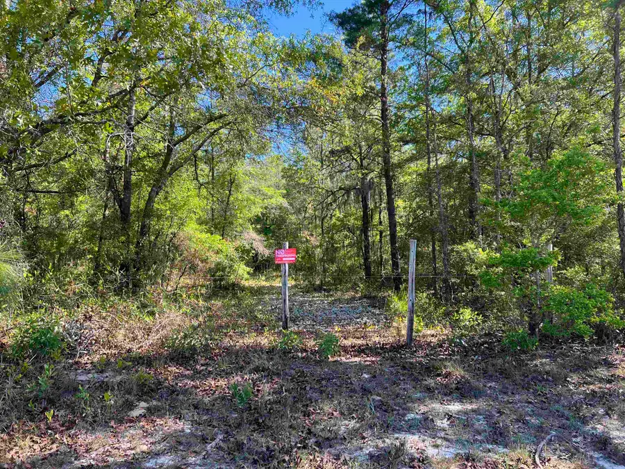 45 Old Federal Highway, Quincy, FL 32351 - #2