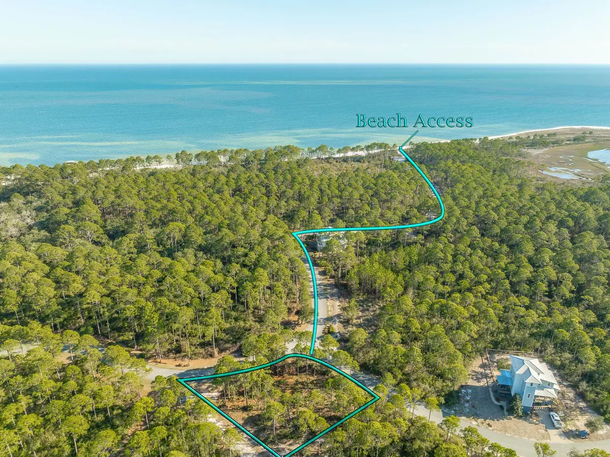 173 Lightning Bug Lane, Saint Teresa, FL 32358 - #1
