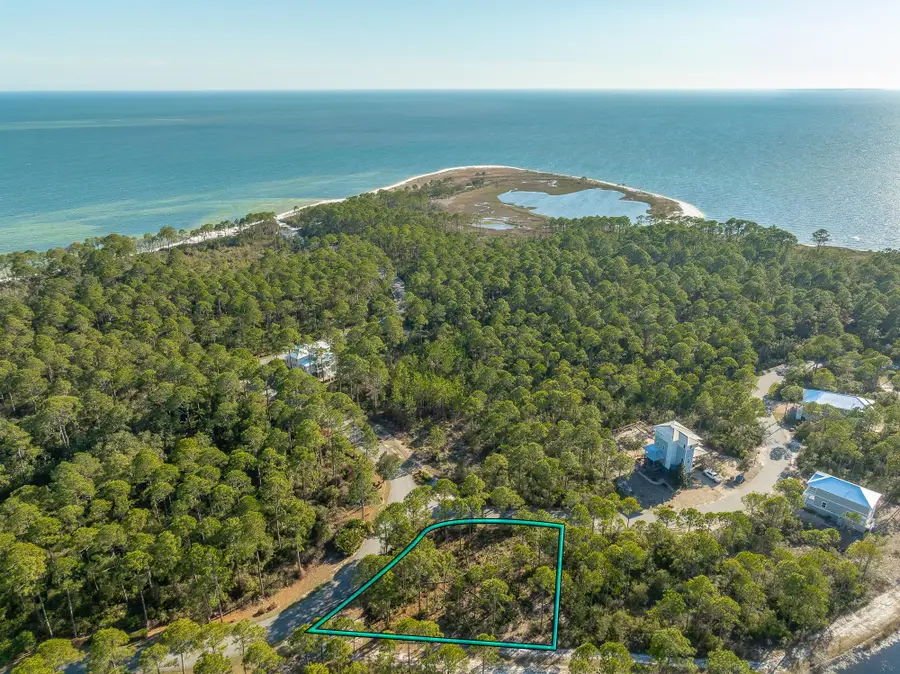 173 Lightning Bug Lane, Saint Teresa, FL 32358 - #3