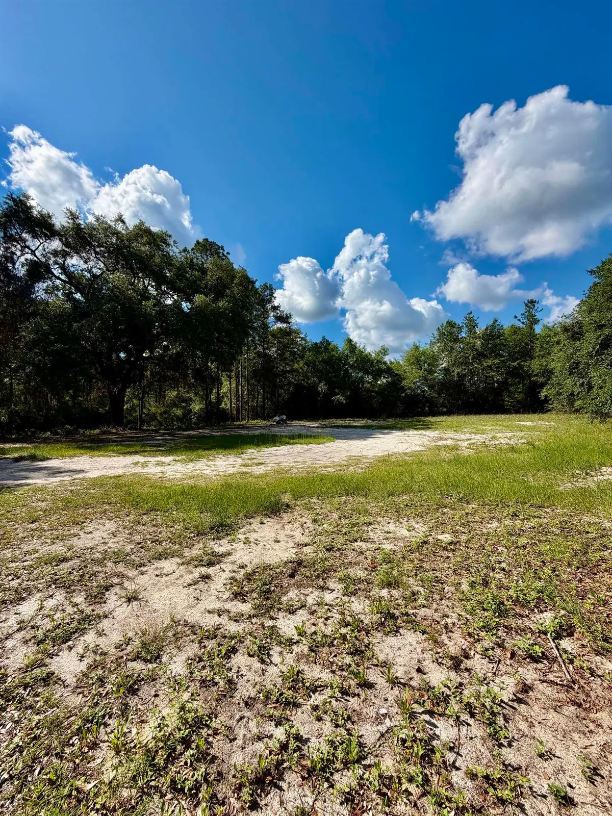 28 Allen Street, Sopchoppy, FL 32358 - #1