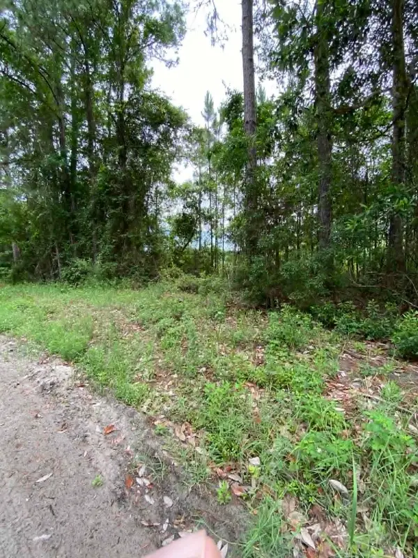 XX Jer-be-lou Circle, Panacea, FL 32346