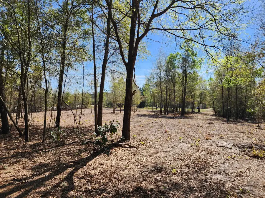 000 NW 48th Way, Jennings, FL 32053 - #2