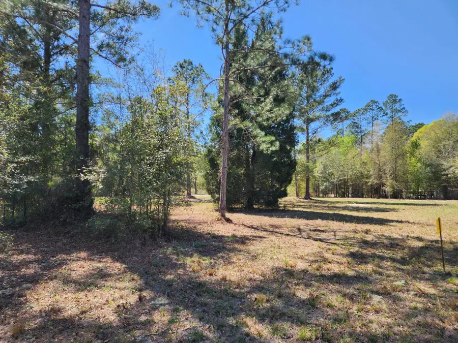 000 NW 48th Way, Jennings, FL 32053 - #3