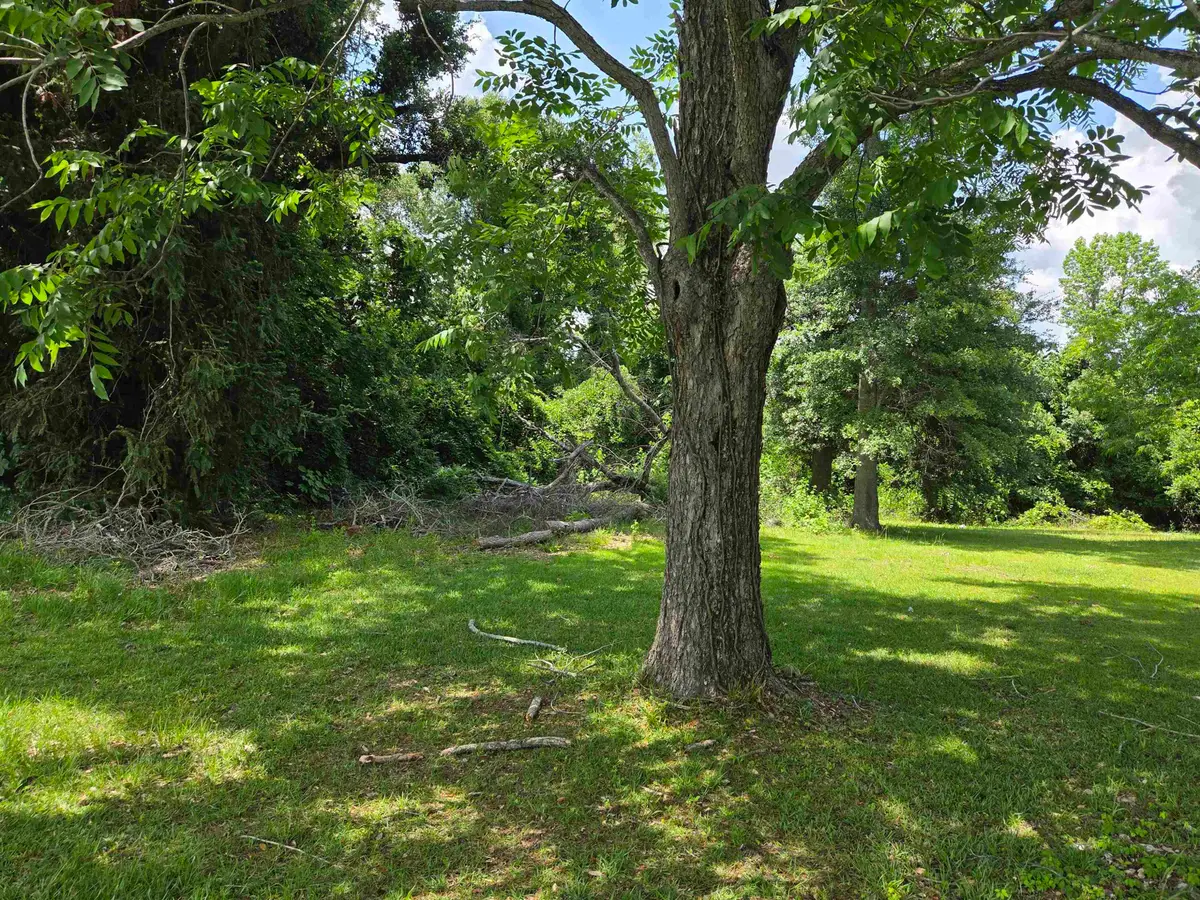xxx Baltzell Street, Marianna, FL 32446 - #1