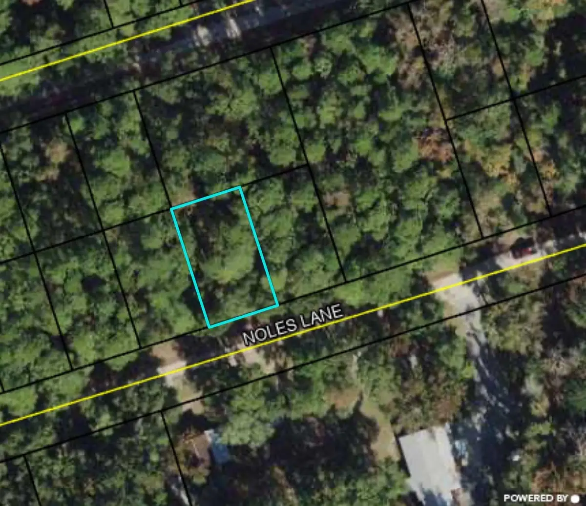 Lot 40 Noles Lane #1, Crawfordville, FL 32327 - #1