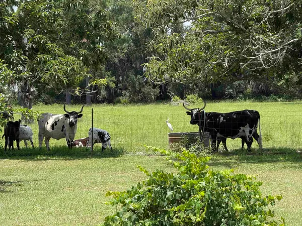 916 SW Cr 360, Madison, FL 32340