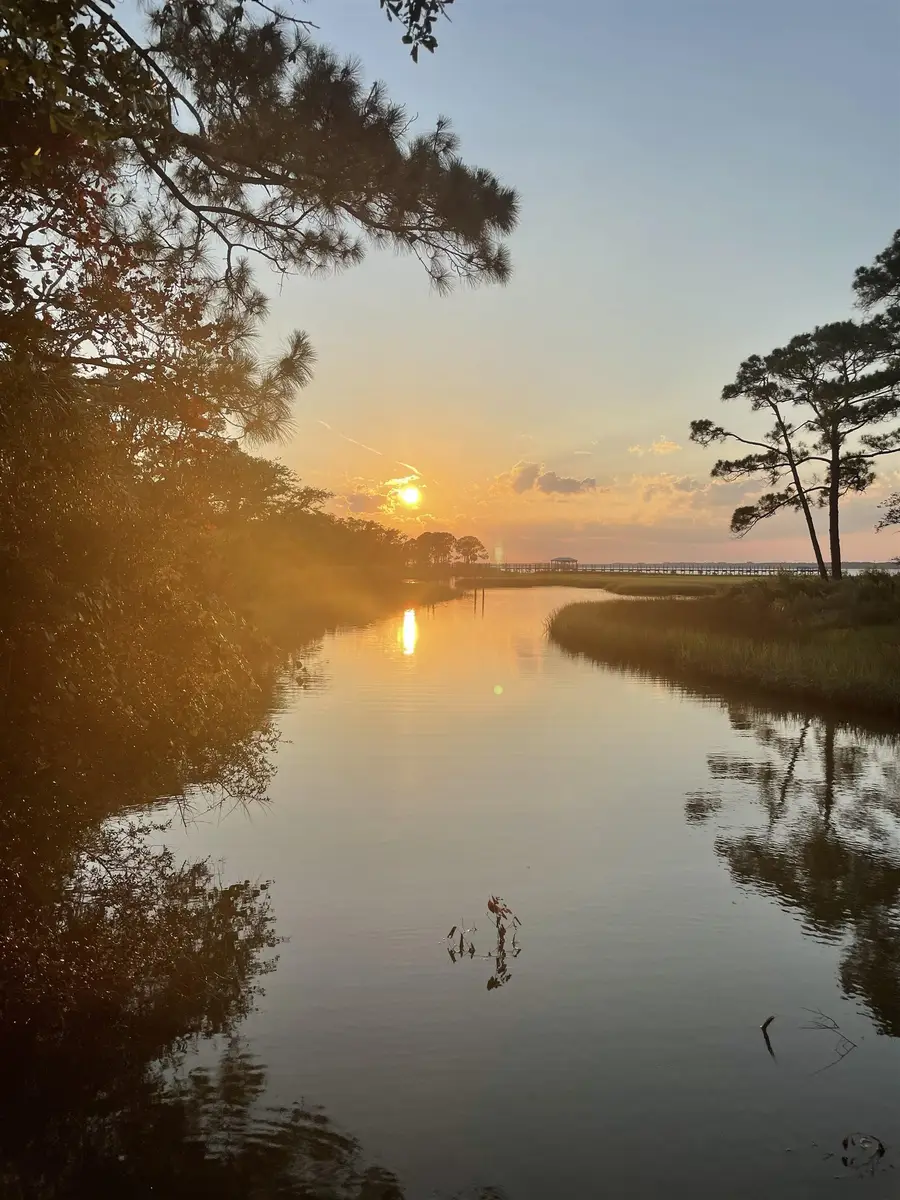 23 Tom Roberts Road, Alligator Point, FL 32346 - #3