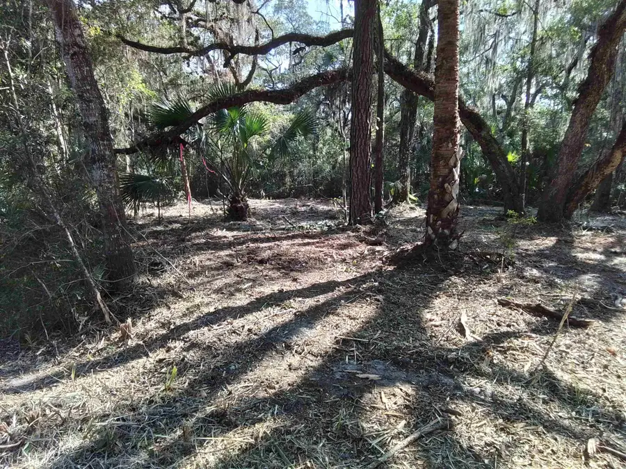 5 E M Oaks Street, Crawfordville, FL 32327 - #3
