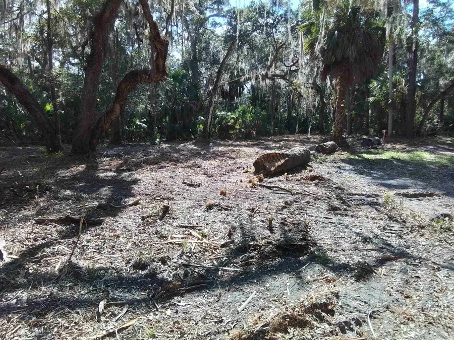 Spring Creek Hw Block 5 Lot 4 Highway, Crawfordville, FL 32327 - #3