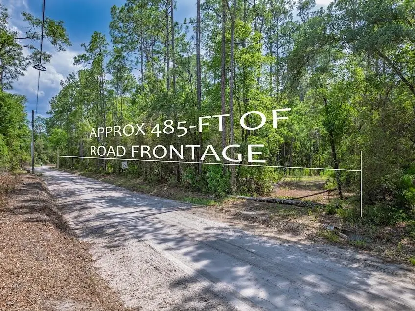 Persimmon Road, Sopchoppy, FL 32358 - #2