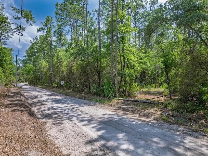 Persimmon Road, Sopchoppy, FL 32358 - #3