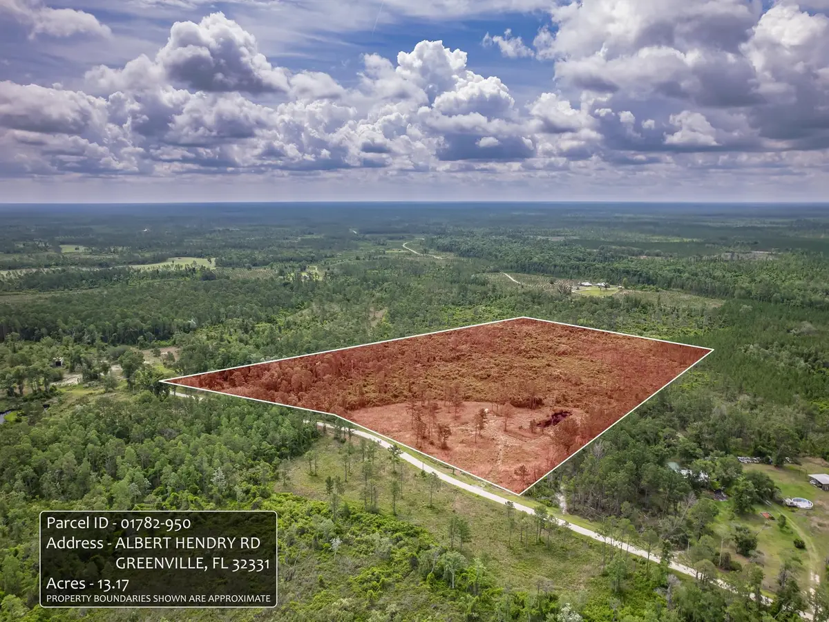 0000 Albert Henry Road, Perry, FL 32348 - #1